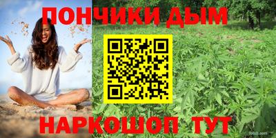 сатива Усть-Джегута