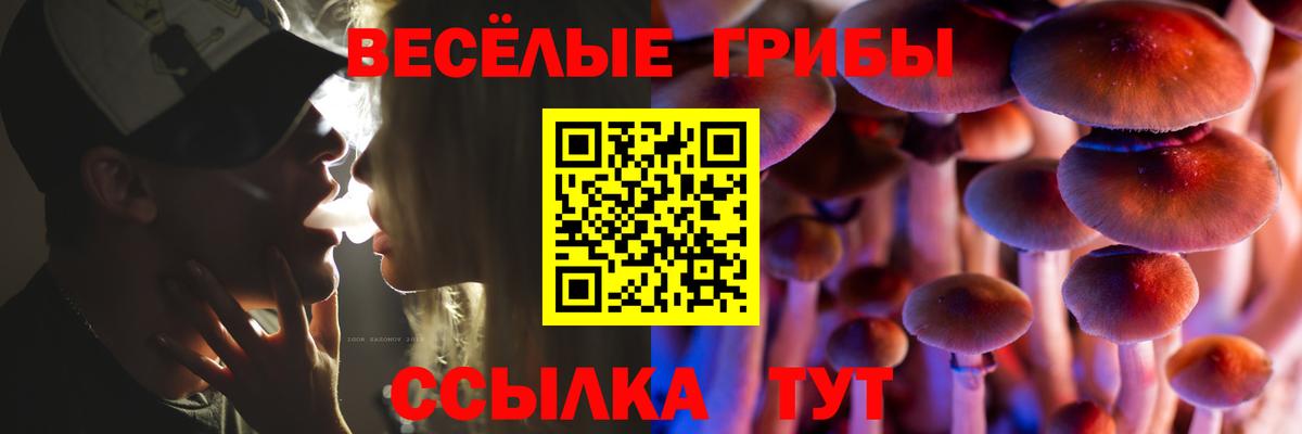 Псилоцибиновые грибы Psilocybine cubensis  Вход с VPN  Аргун 